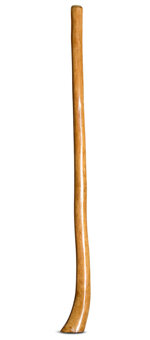 Gloss Finish Flared Didgeridoo (TW956)